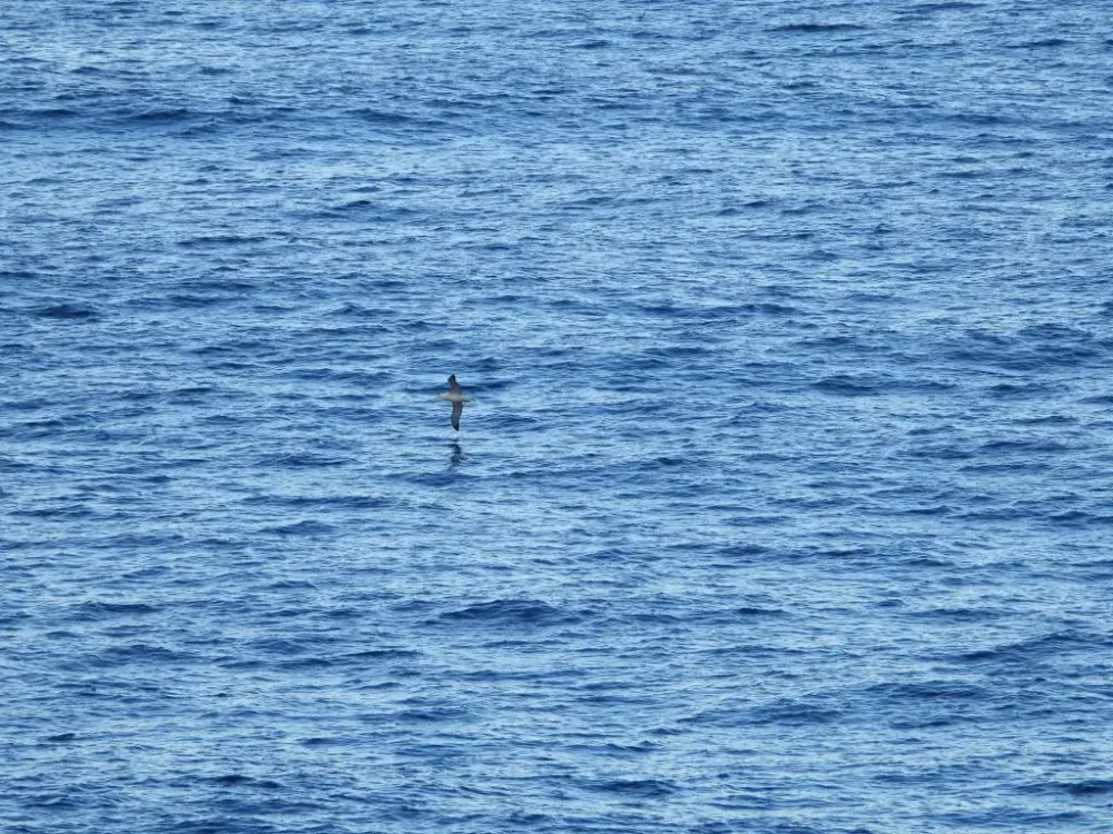 Drake passage